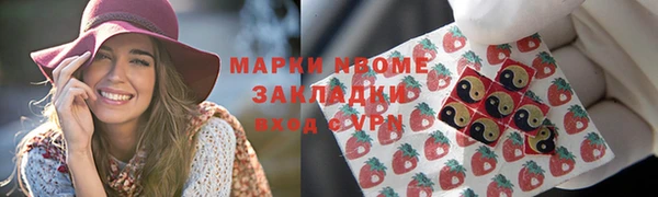 индика Богородицк
