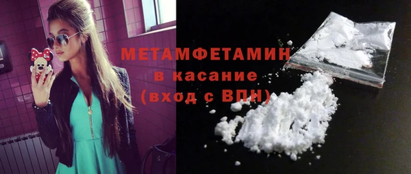 индика Богородицк
