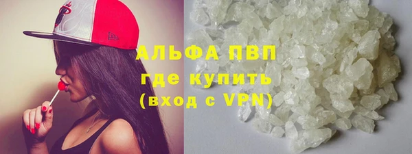 индика Богородицк