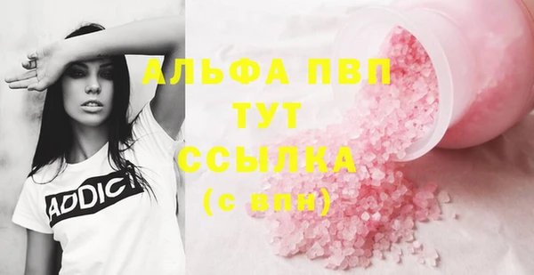 гашик Богданович