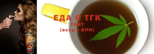 индика Богородицк