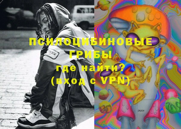 гашик Богданович