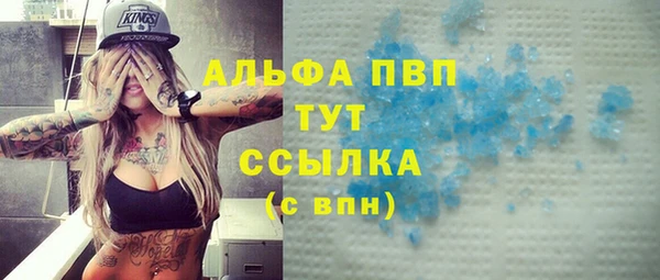 индика Богородицк